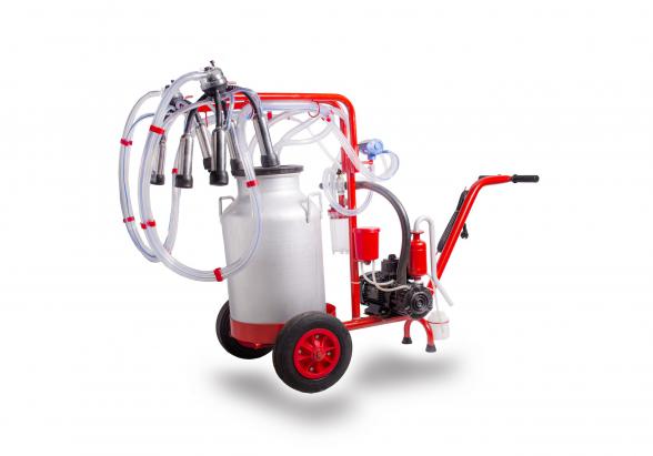 همه چیز درباره شیر دوش گاوی