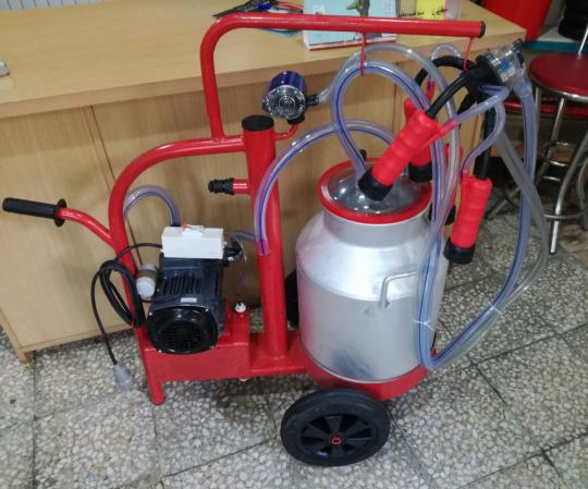 توزیع عمده شیر دوش گاوی