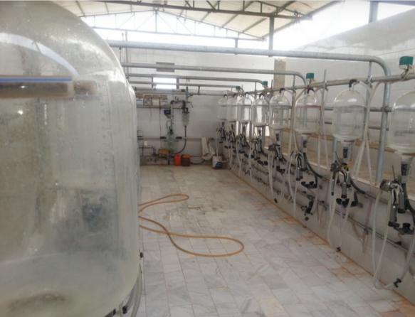 دسته بندی انواع شیردوش از نظر مدل