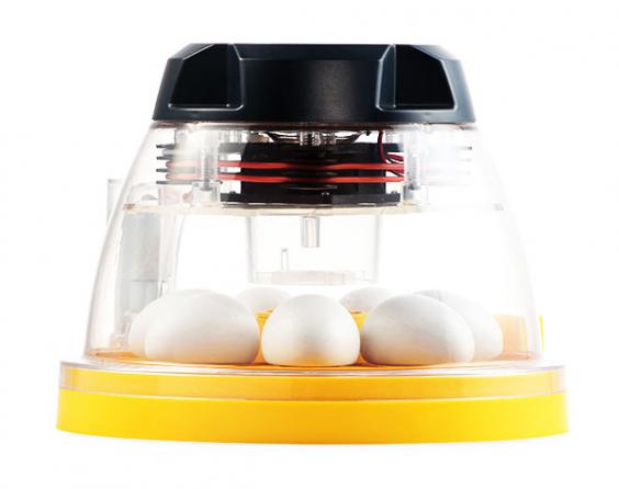 مقایسه دستگاه جوجه کشی خانگی و نیمه صنعتی