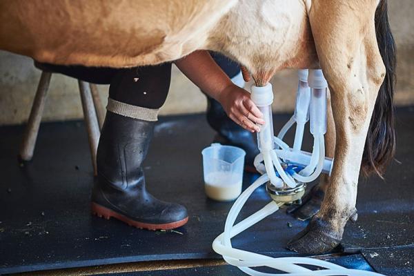 صفر تا صد دستگاه شیر دوش را بدانید