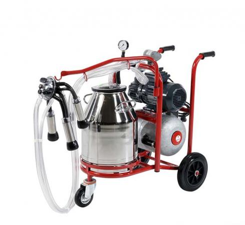 ارائه انواع شیر دوش گاوی