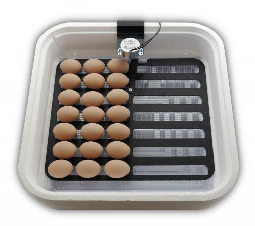 مشخصات انواع دستگاه جوجه کشی خانگی