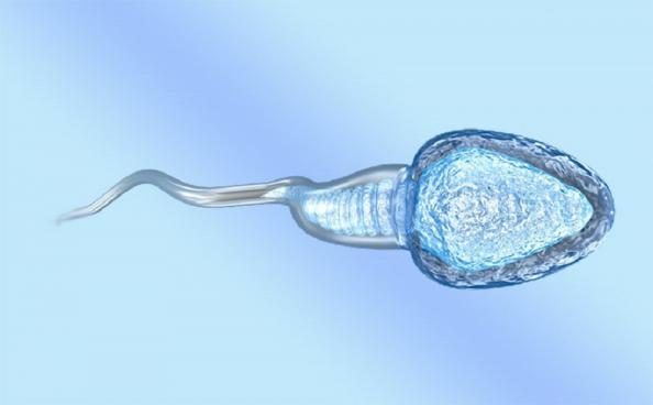 مرجع خرید پایوت ذخیره اسپرم یک چهارم