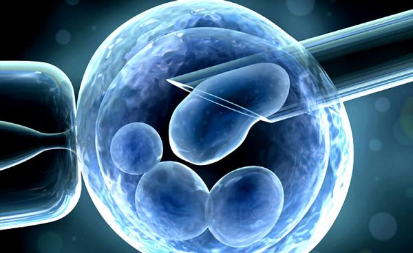 کارایی غلاف انتقال جنین چیست؟