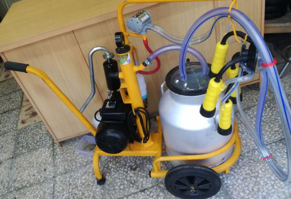 عرضه کنندگان شیر دوش گاوی