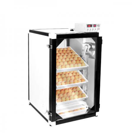 چه دستگاه جوجه کشی مناسب است؟