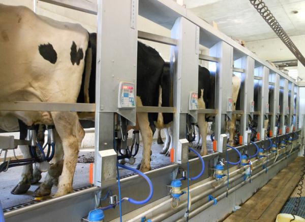 دانستنی های جالب درباره دستگاه شیر دوش