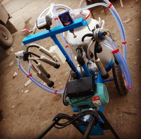 اهمیت حفظ بهداشت در ماشین شیر دوشی