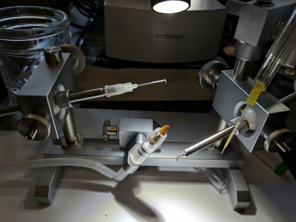 فروشنده اصلی دستگاه تلقیح مصنوعی