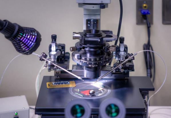 اجزای تشکیل دهنده دستگاه تلقیح