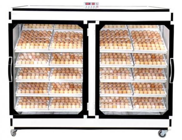 شرکت پخش بهترین  دستگاه جوجه کشی صنعتی