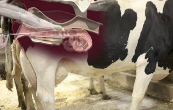 انواع مختلف دستگاه انتقال جنین در بازار