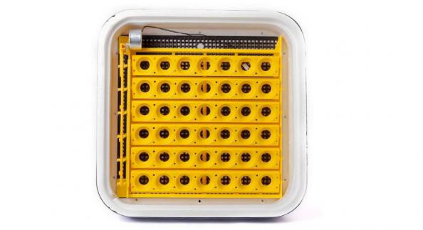 عرضه کنندگان بی واسطه دستگاه جوجه کشی شترمرغی