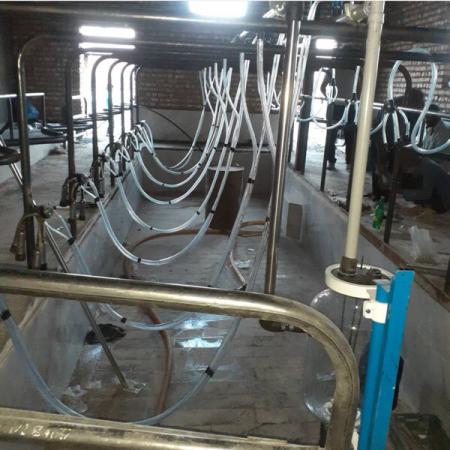 توزیع کنندگان ایرانی شیردوش گاوداری صنعتی