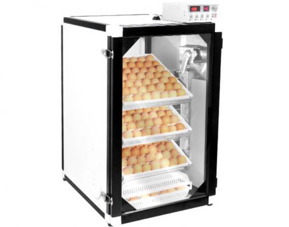 واردات انواع دستگاه جوجه کشی صنعتی