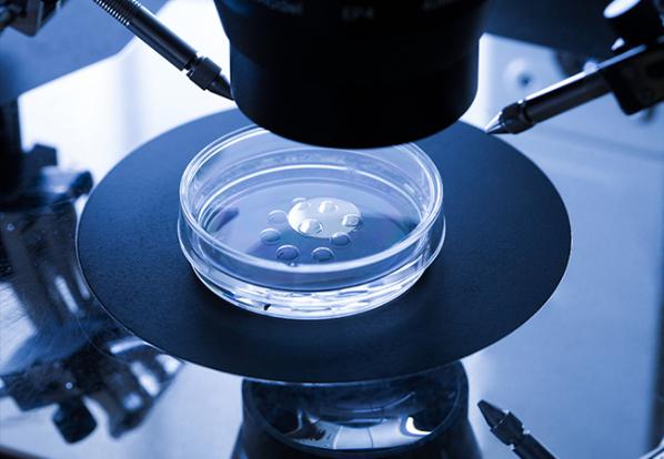 قیمت بهترین دستگاه تلقیح مصنوعی