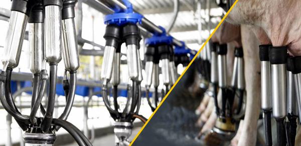 راهنمای خرید دستگاه شیر دوش ثابت