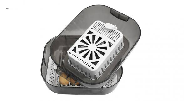 نقش دما در دستگاه جوجه کشی