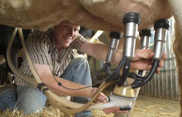 مرکز توزیع شیر دوش صنعتی