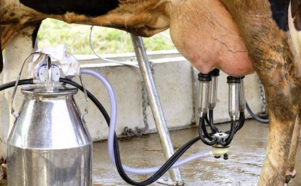 شرکت فروش انواع شیر دوش صنعتی