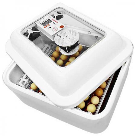 چه دستگاه جوجه کشی برای خانه مناسب است؟