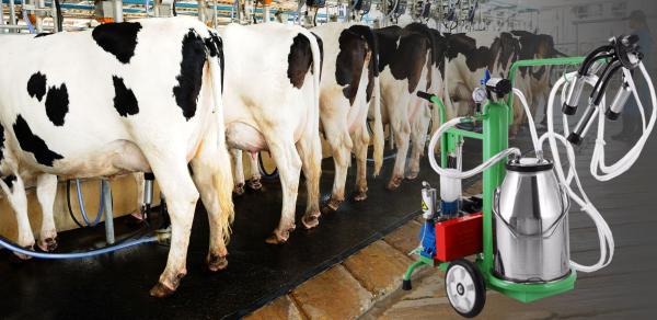 مقایسه دستگاه شیر دوش ثابت و سیار