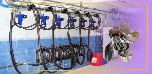 تولیدکنندگان انواع دستگاه شیر دوش ثابت