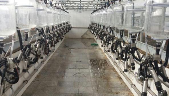 آنچه باید درباره شیردوش صنعتی بدانید