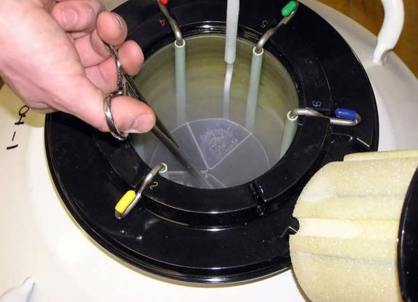 انواع مختلف کانتینر نگهداری اسپرم