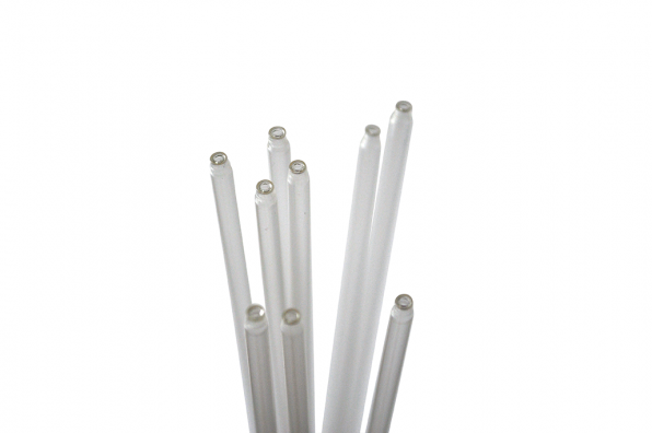 کاملا شفاف بودن غلاف تلقیح