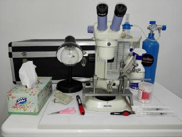 بازار صادرات دستگاه تلقیح مصنوعی