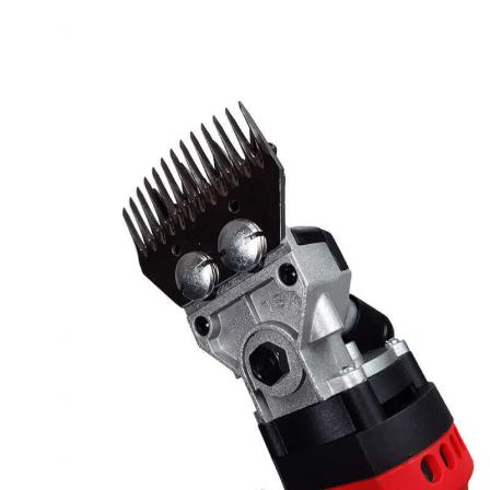 بازار خرید پشم چین سام بین استرالیا