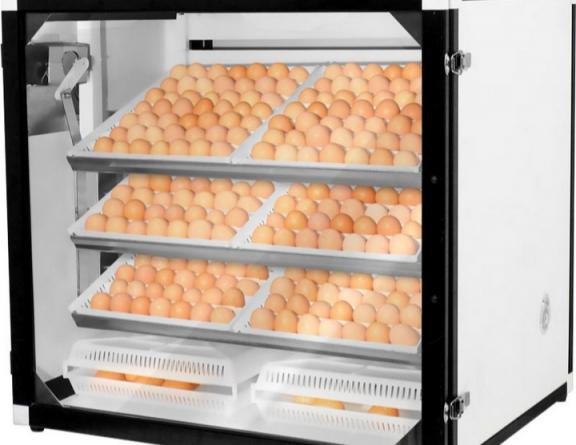 عرضه کنندگان دستگاه جوجه کشی نیمه صنعتی