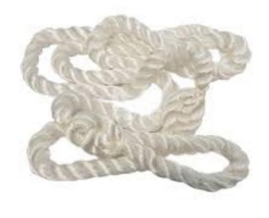 کاربرد متنوع طناب زایمان دام در دامپزشکی