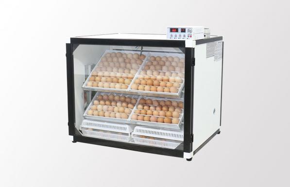 فروشندگان عمده دستگاه جوجه کشی شترمرغی