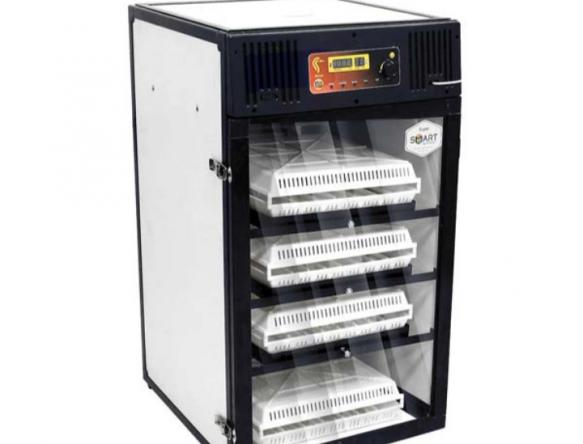 پخش بی واسطه انواع دستگاه جوجه کشی نیمه صنعتی