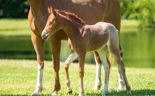 بهترین روش تمیز کردن دستگاه انتقال