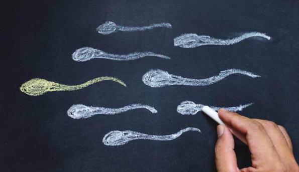 شرکت فروش ست جمع آوری اسپرم ایرانی