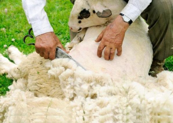 استحکام بسیار بالای دستگاه پشم چین