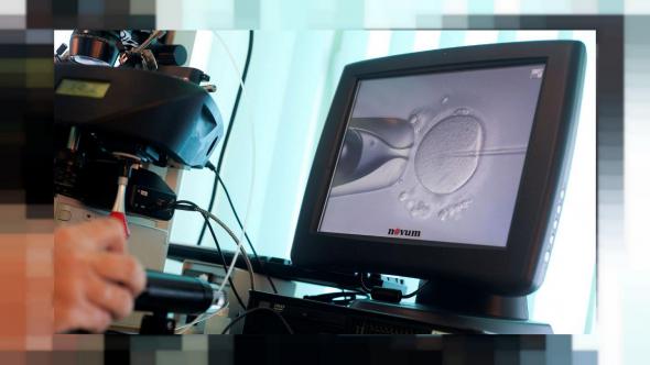 قیمت بهترین دستگاه تلقیح گاو