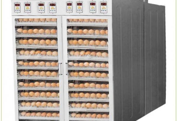 مقایسه دستگاه جوجه کشی نیمه صنعتی و دستی