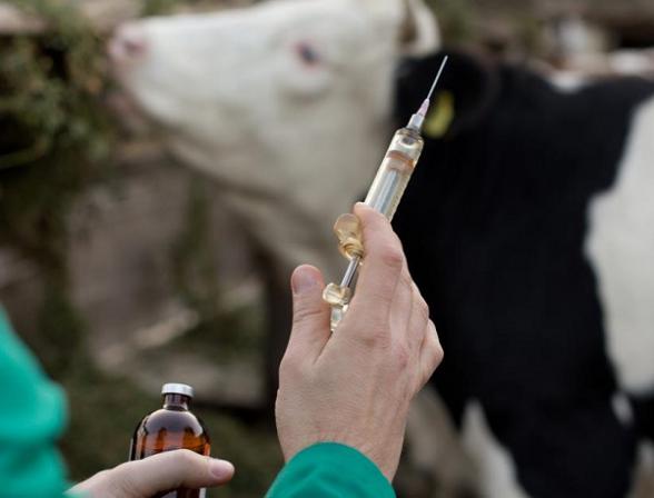 تفاوت سرنگ تلقیح با سرنگ معمولی چیست؟