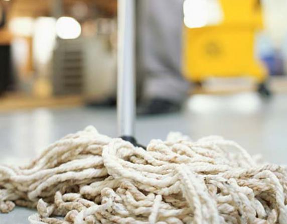 بازار فروش طناب سخت زایی گاو