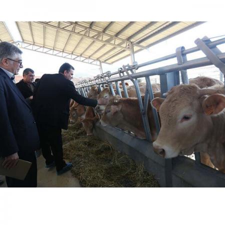 مشخصه های دستگاه انتقال جنین باکیفیت