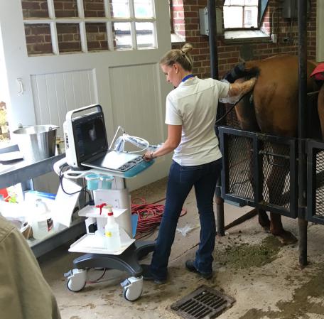 مراکز فروش دستگاه انتقال جنین اسب