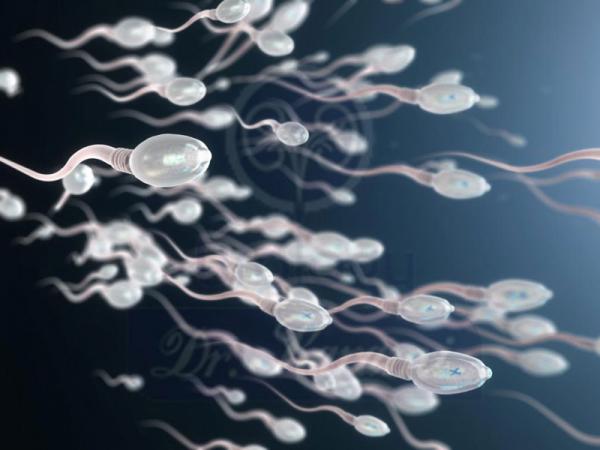 جنس بدنه دستگاه ذوب اسپرم