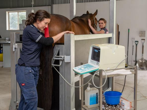 مزیت های استفاده از دستگاه انتقال جنین