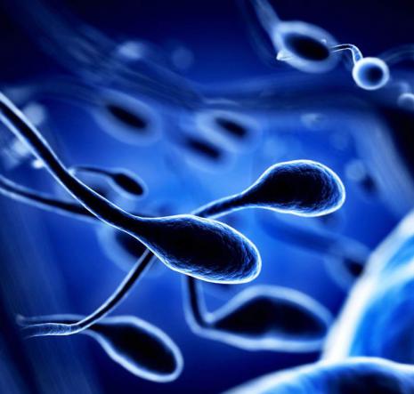 ست جمع آوری اسپرم چه کارایی دارد؟