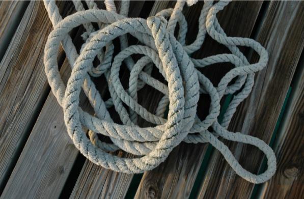 شرکت توزیع طناب زایمان دام